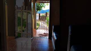 Assista o ring dos pássaros #nature #love #shorts