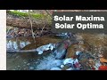 Solar Maxima vs Solar Optima. Комплектации. Отличия.