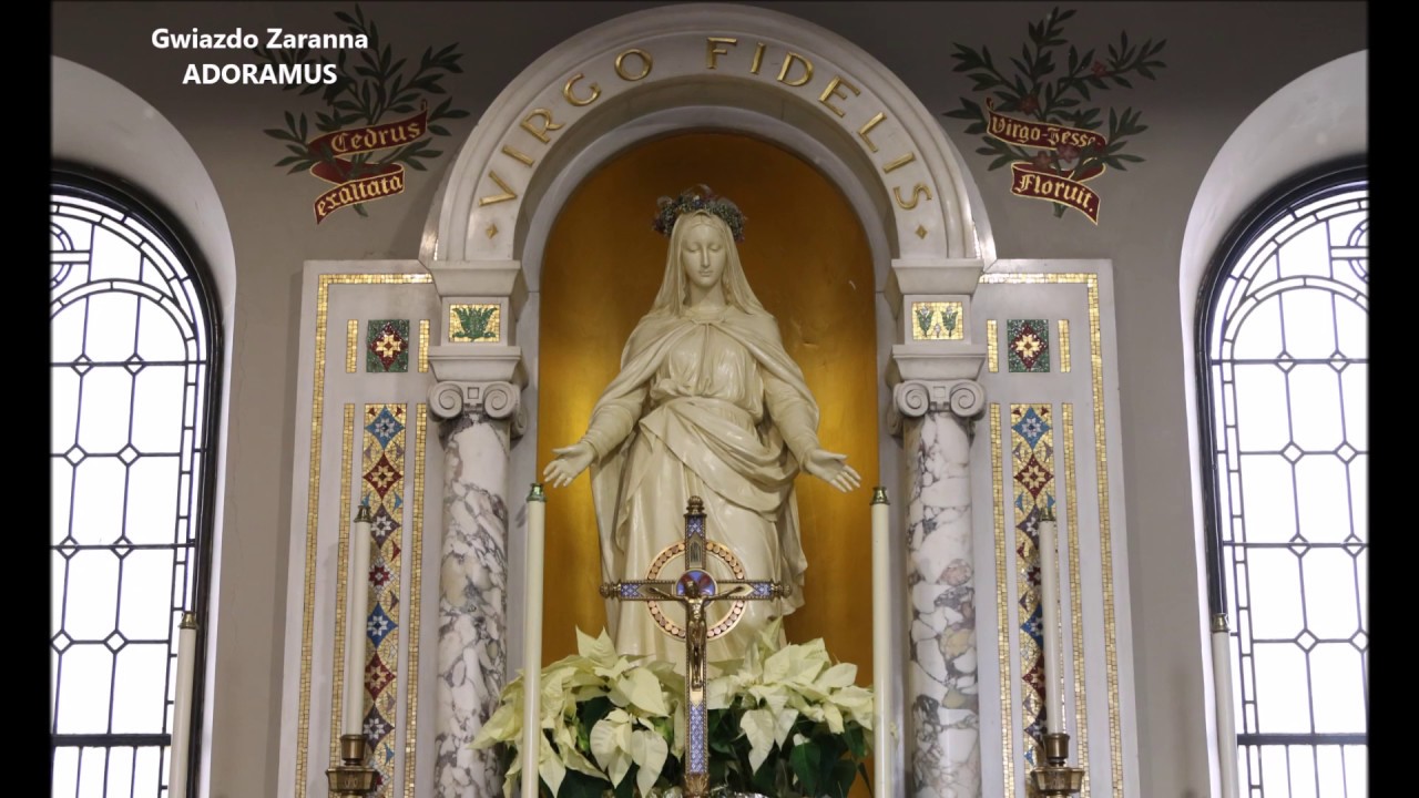 Gwiazdo Zaranna - ADORAMUS