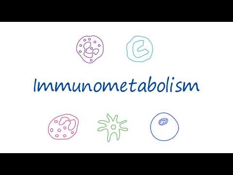 AbLearning™ - Episode 5: T Cell Immunometabolism - video from Abnova
