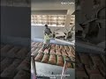 شاهد عمالقه العمل سرعة ومهارة في تحميل أكياس الإسمنت Shorts 