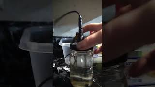 Brewing your own colloidal silver, The Tyndall Effect