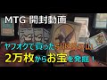 【MTG開封動画】ヤフオクで買った引退品カードの海、2万枚超からお宝を発掘!