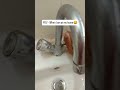 Ghar vs Relative ke Ghar Handwash 😂 | Relatable Indian Moments | Funny Shorts #shorts #ytshorts