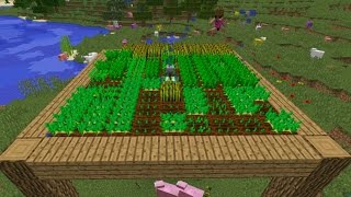 [EL] MACCHINE AGRICOLE IN MINECRAFT VANILLA + Epic faiL