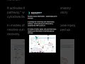 Nicotine #health #motivation #viral #viralvideo