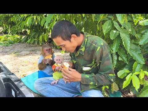 Lunch Delivery CUTIS Smart Food Transport to Dad's Farm