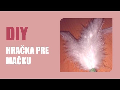 Video: Tsiprovet Pre Mačky: Návod Na Použitie, Tablety A Očné Kvapky, Recenzie, Analógy