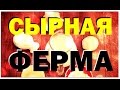 Галилео. Сырная ферма