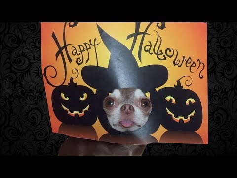 Video: Halloween. 