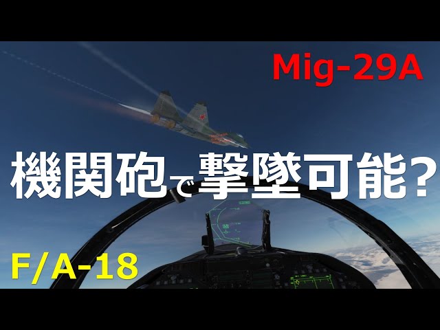 ドックファイト ドッグファイトのホームページ