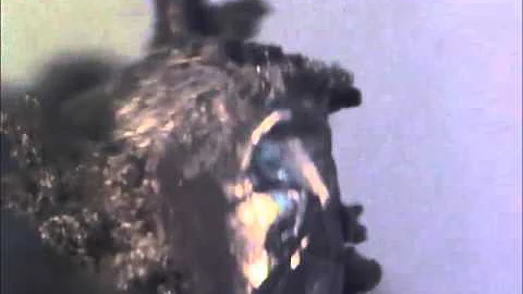 Lithium deposition on Li substrate