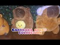 Capybara carpincho capibara collection stuff plush keychain collector #capybara #capibara #carpincho