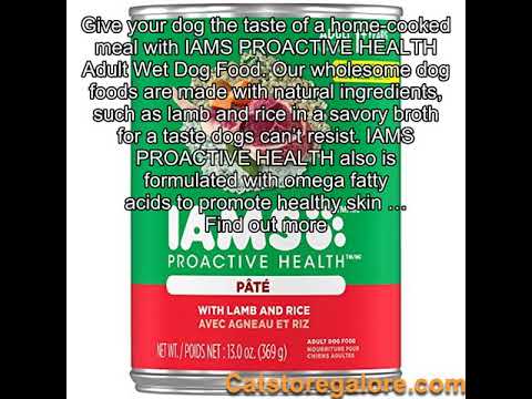 iams-proactive-health-adult-with-lamb-and-rice-pate-wet-dog-food-13.0-ounces-(pack-of-12)