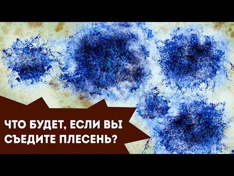 Что случится, если проглотить плесень?