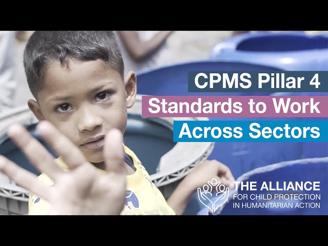 Watch CPMS Pillar 4: Standards to Work Across Sectors on YouTube.