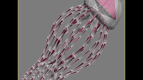 3D Model of Jellyfish Rigged Review