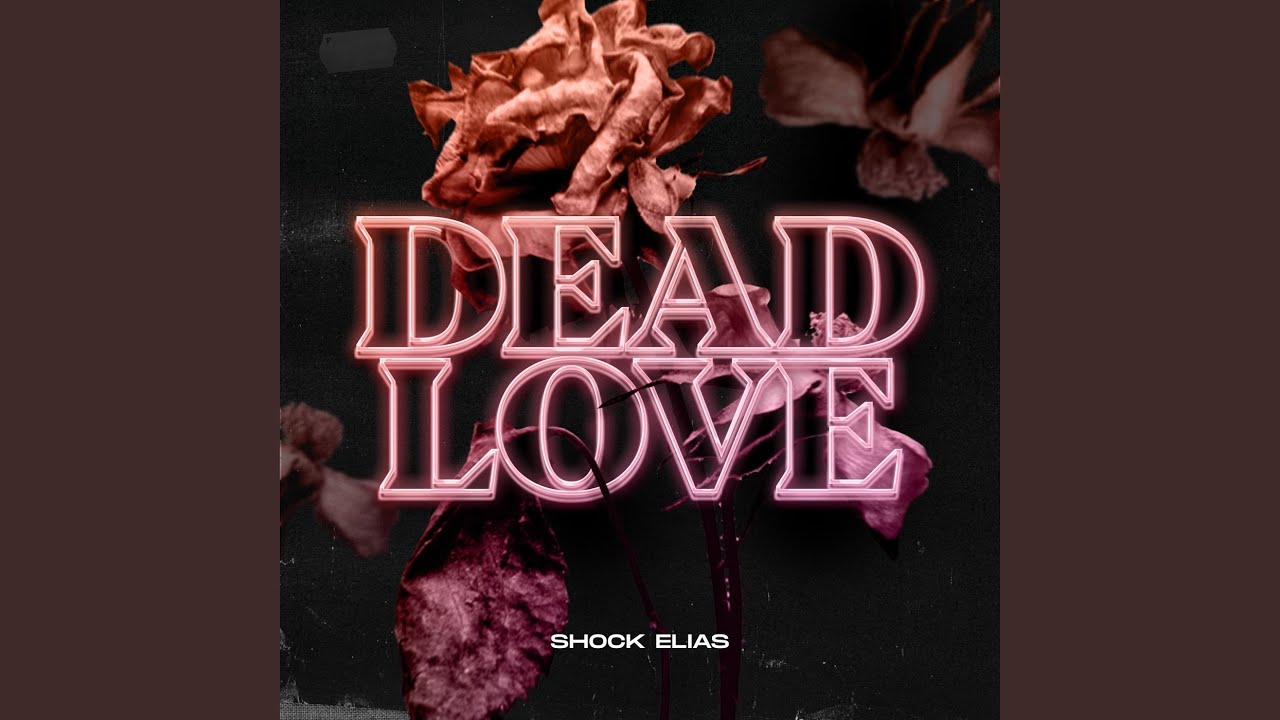 Making Love To The Dead Beginners – YGNC