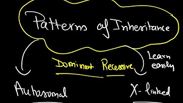 Human Genetics Patterns of Inheritance