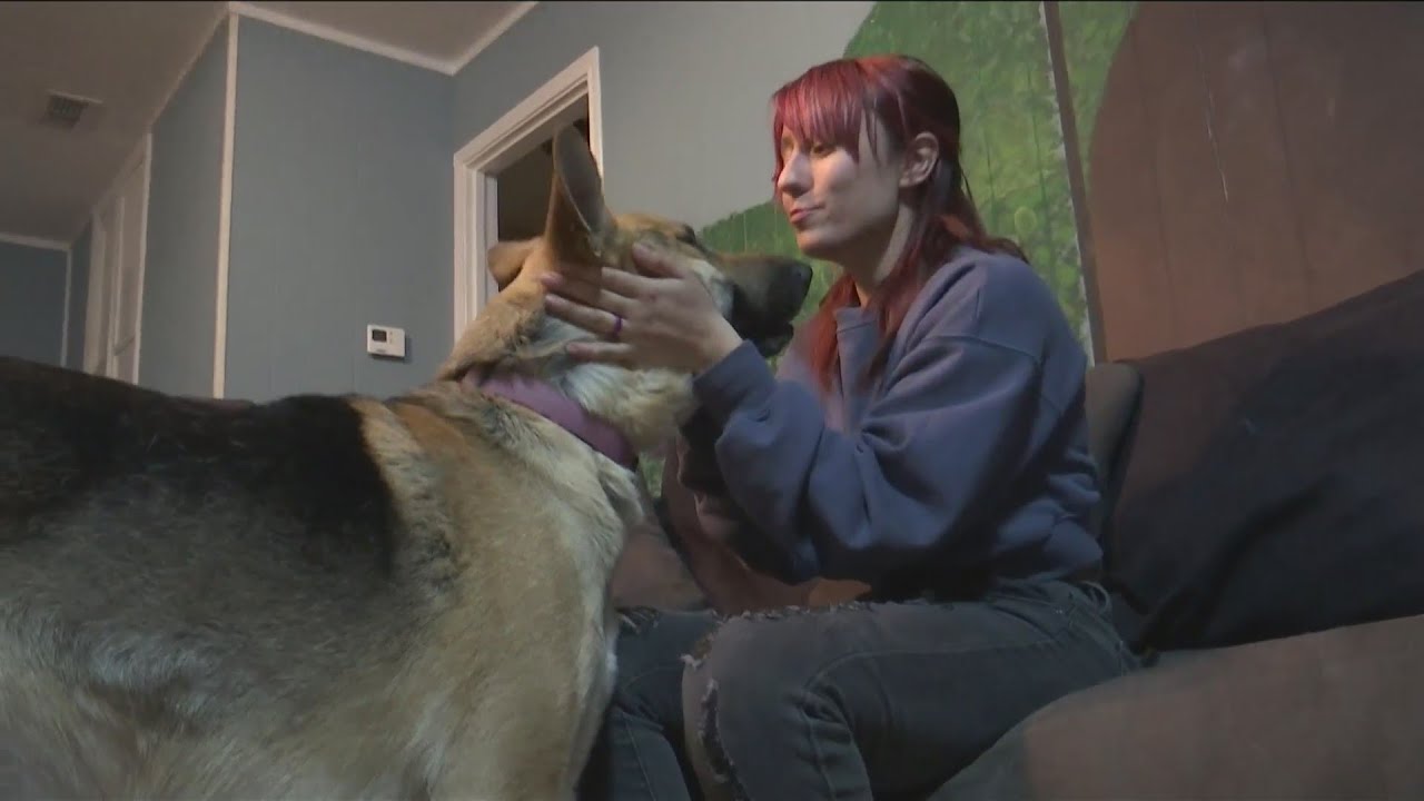 Abilene veteran reunited with missing service dog - YouTube