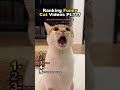 Ranking funny cat videos😸 pt.???  #cat #funny #shorts