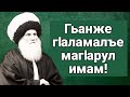 Гьанже гIаламалъе магIарул имам!