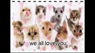 Video thumbnail of "playlist for silly cat people"