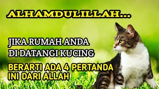 Arti Kucing Datang Ke Rumah, Pertanda Penting Bagi Penghuninya | Kutipan Islam