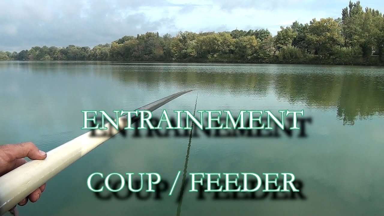 Entrainement pêche au coup et feeder