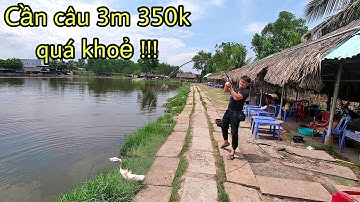 ✅ Cần câu cá xém bạo lực 350k SINGAPORE kéo cá tra Sài Gòn phà phà | DUY FISHING