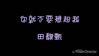 Video thumbnail of "( 歌詞 ) 田馥甄 - 你就不要想起我"