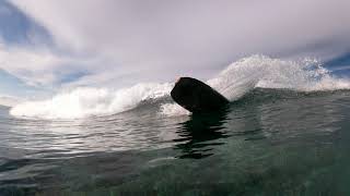 The Road To Fiji 2 - Trailer