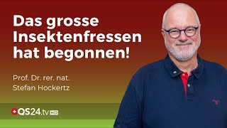 Chitinase - Die Grosse Gefahr beim Insektenfrass | Prof. Dr. rer. nat. Stefan Hockertz | QS24