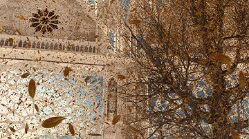 Flying Leafs in Houdini *FIXED GLITCHES Creative use of RBD Solvers