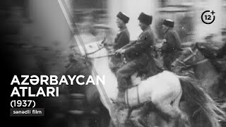 Azərbaycan atları (1937) - sənədli film