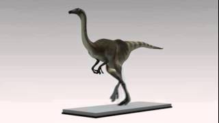 Gallimimus - Dinosaur Walk / Run Cycle - Test Animation