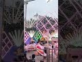 BREAK DANCE Jhula Disney land mela#birds #talkingparot #cutebird #video #mela #cuteparrot #love
