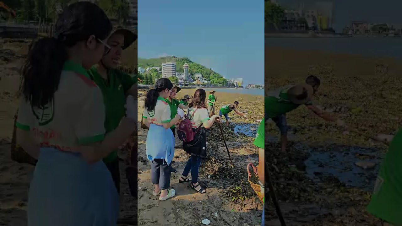 I joined a volunteer activity to remove water hyacinths that drifted onto the shoreline.