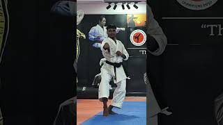 Papuren Kata (8/10)Sequence|#karateshorts #karatekata #papuren #learnkarate #katavideo #katatraining