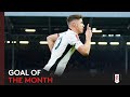 Fulham Goal Of The Month | January