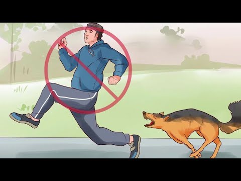 إزاي الكلب بيشم الأدرينالين ويقدر يعرف إننا خايفين