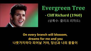 Evergreen Tree - Cliff Richard (1960) (상록수- 클리프 리차드)가사 한글자막