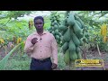 AGRICULTURE Beyond Production 2019.09.08 @ 6.30 p.m on Rupawahini