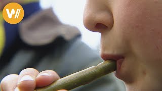 Weidenflöten schnitzen -
Die Weidenflöte – man nennt sie auch Weidenpfeifchen – ist ein einfaches Musikinstrument, das man selbst schnitzen kann. Am besten geht das im Frühjahr, wenn die Rinden der Weiden saftig sind. Die Flöte besteht aus einem Mundstück, einem Hohlkörper aus der Rinde und einem Stock als Halter.
Schaue auch auf unsere Playlist, um weitere Anleitungen für Gestaltungsideen mit und für Kinder zu finden: https://goo.gl/L61j8Z
Abonniere wocomoKIDS: https://goo.gl/DclA1P
Material:
Eine glatte, fingerdicke Weidenrute ohne Verästelungen
Ein scharfes Messer
Schnitzmesser gibt es hier: http://amzn.to/2qbro0J **
Anleitung:
- Zunächst schneidet man eine glatte, fingerdicke Weidenrute. Daraus wird ein ca. 20 cm langes, glattes Stück geschnitten. Das rechte Ende wird schräg angeschnitten und 2 cm darunter eine Kerbe für das Mundstück geschnitzt
- In der Mitte des Astes wird ein kleiner Ring (2 mm) der Rinde entfernt. Jetzt muss die Rinde von dem Mundstück entfernt werden. Dazu hält man den Stock mit der linken Hand fest und versucht mit der rechten, die Rinde vorsichtig zu drehen. Wenn das nicht klappt, gibt es einen Trick: Man klopft mit dem Messergriff von allen Seiten auf die Rinde. Dann lässt sie sich ganz einfach lösen und man kann sie vorsichtig nach oben abziehen
- Dort, wo die Kerbe in der Rinde angesetzt war, wird von dem freigelegten Kernholz das Mundstück abgeschnitten. Davon müssen oben einige Millimeter gerade abgeschnitten werden, damit dort später Luft durchströmen kann. Das Mundstück wird mit der abgeflachten Seite zur Kerbe wieder in die Rindenhülse geschoben. Wenn man jetzt in das Mundstück bläst und das Holz in der Rindenhülse auf und ab schiebt, verändern sich die Töne
Idee und Umsetzung: Hans-Peter Törber mit Peer und Gent Törber
** Dies ist ein Affiliate Link
Affiliate Links sind Links, für die - je nach messbarem Erfolg - eine Provision gezahlt wird. Die Produkte, die wir hier bewerben können natürlich auch gerne woanders gekauft werden. Der Link ist lediglich ein Vorschlag, damit ihr sehen könnt, wie das Produkt aussieht und wo es gekauft werden kann. Weidenflöten schnitzen -