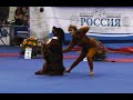 Танцы с собаками "Кубок Мастеров 2013". Dog Dancing. Canine Freestyle.