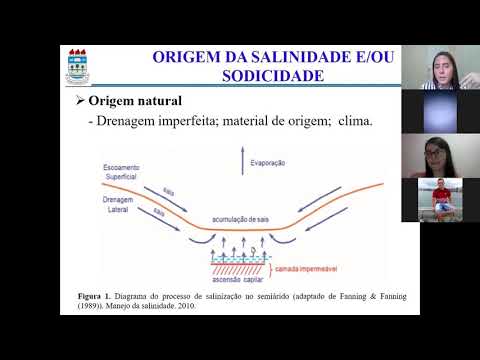 Vídeo: Diferença Entre Sodicidade E Salinidade