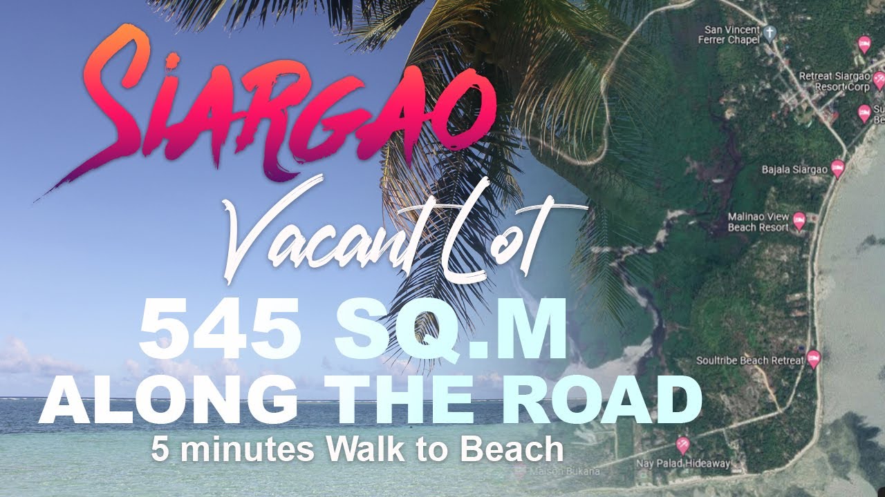 545 sqm Lot For Sale Along the Road in Gen. Luna Siargao Island