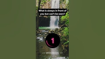 What is always in front of you but can