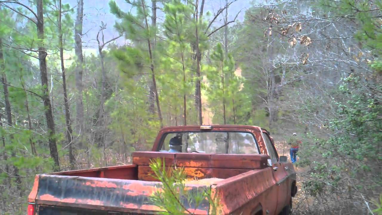 Buyer Preview Land For Sale Asheville 2050 acres YouTube