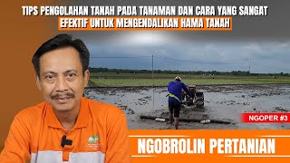 TIPS PENGOLAHAN TANAH PADA TANAMAN ‼️ | Ngobrolin Pertanian - NgoPer #3